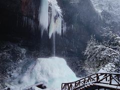 -龙苍沟森林公园