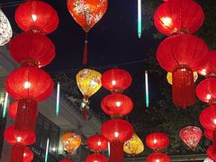 -越秀西湖花市(广州城市广场花卉店)