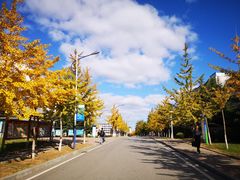 -大连外国语大学(旅顺校区)