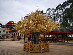 -广东圆玄道观