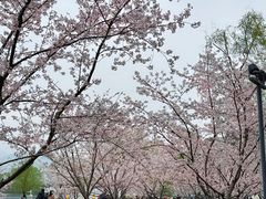 -Beans Solo豆号咖啡(百家湖花园店)