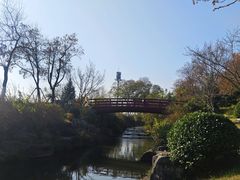 -羊山湖公园