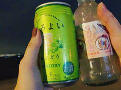 -深圳湾公园(南山区)