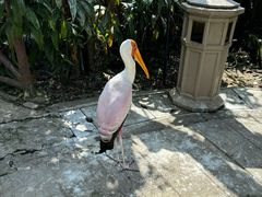 -吉隆坡雀鸟公园