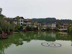 -铁山坪森林公园