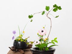 -荷兰布尔玛国际花艺学院