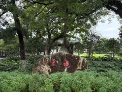 -江心屿景区