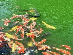 -青岛鑫江温德姆酒店