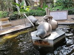 -碧水湾温泉