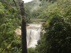 -海南热带雨林国家公园吊罗山景区