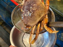 -广记海鲜(杨汊湖一店)