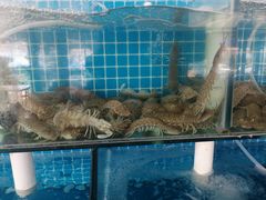 -87号烧烤海鲜·大排档(金沙滩店)