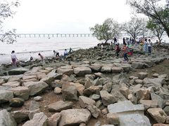 -宝安西湾红树林湿地公园