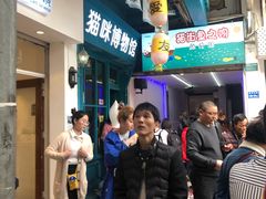 -猫咪博物馆(顶澳仔猫街店)