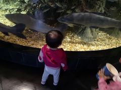 -成都浩海立方海洋公园