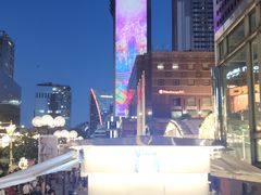 -新加坡乌节希尔顿酒店 (SG Clean)