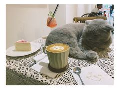 -猫友咖啡店(玉林西路店)