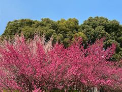 -江南大学(蠡湖校区)