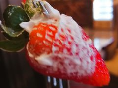 -长沙富力万达文华酒店