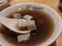 -海丝金凤(金鱼店)