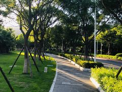 -厦门国家会计学院
