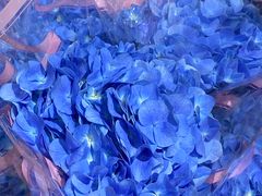 -循礼门鲜花花市(武汉循礼门店)