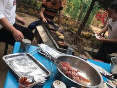 -尚庄度假村·庭台树下·户外烧烤·团建CS·轰趴营地(上庄水库店)