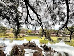 -云水谣景区