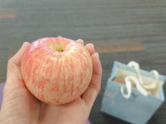 -厦门高崎国际机场-T3航站楼