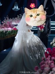 -南昌喜来登酒店·宴会厅