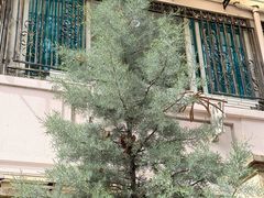 -华莱士·全鸡汉堡(杭州武林店)