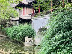 -龙潭水乡