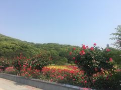 -龙寺生态园