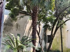 -乌镇东栅景区-茅盾故居