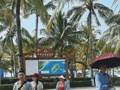 -海南分界洲岛旅游区