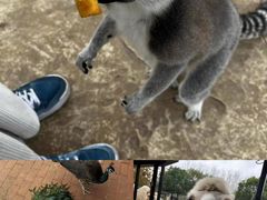 -杭州野生动物世界