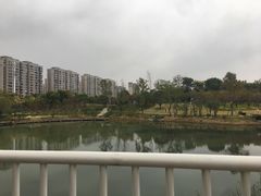 -洋湖国家湿地公园