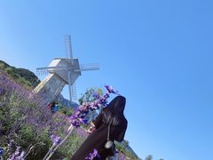 -北京东方普罗旺斯薰衣草庄园