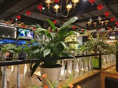-嘎嘎鸭脑壳(金琴店)
