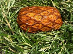 -Le Bistrot de Racine