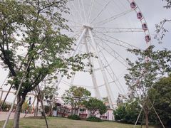 -顾村公园