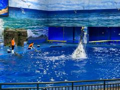 -多彩贵州城极地海洋世界