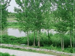 -洨河生态公园