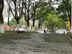 -白塘生态植物园