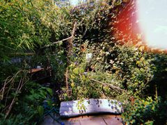 -斯多格书乡(北京大学畅春园店)