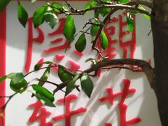 -觀芷隐轩