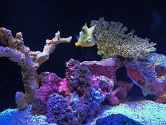 -上海海洋水族馆