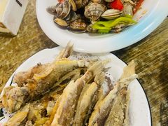 -领鲜驴肉  孙村 3B3(天马相城彩虹湖店)