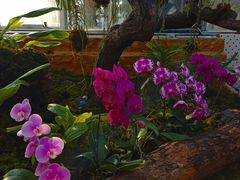 -国家植物园南园