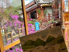 -猫的天空之城概念书店(丽江古城饮玉巷店)